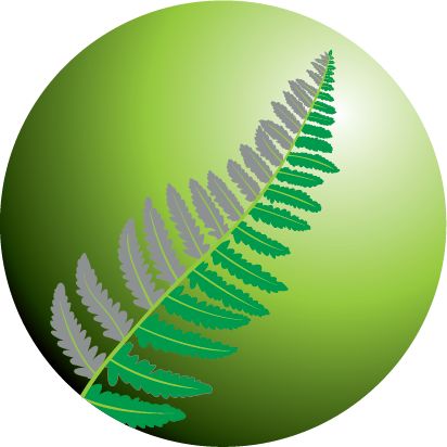 SILVERFERN Solutions